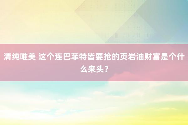 清纯唯美 这个连巴菲特皆要抢的页岩油财富是个什么来头？