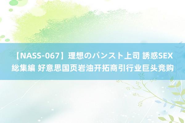 【NASS-067】理想のパンスト上司 誘惑SEX総集編 好意思国页岩油开拓商引行业巨头竞购