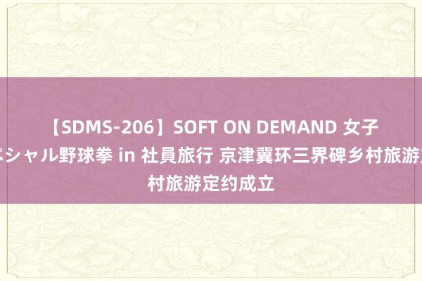 【SDMS-206】SOFT ON DEMAND 女子社員スペシャル野球拳 in 社員旅行 京津冀环三界碑乡村旅游定约成立