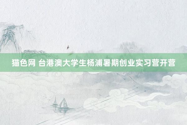 猫色网 台港澳大学生杨浦暑期创业实习营开营