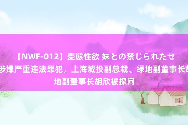 【NWF-012】変態性欲 妹との禁じられたセックス。 涉嫌严重违法罪犯，上海城投副总裁、绿地副董事长胡欣被探问