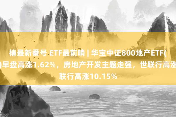 椿最新番号 ETF最前哨 | 华宝中证800地产ETF(159707)早盘高涨1.62%，房地产开发主题走强，世联行高涨10.15%