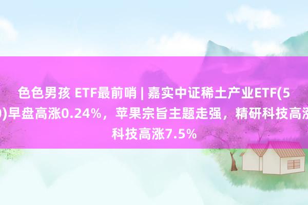 色色男孩 ETF最前哨 | 嘉实中证稀土产业ETF(516150)早盘高涨0.24%，苹果宗旨主题走强，精研科技高涨7.5%