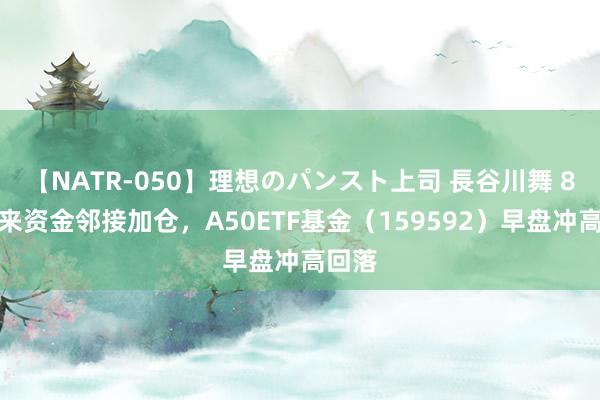 【NATR-050】理想のパンスト上司 長谷川舞 8月以来资金邻接加仓，A50ETF基金（159592）早盘冲高回落