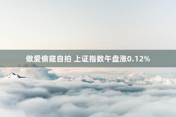 做爱偷窥自拍 上证指数午盘涨0.12%