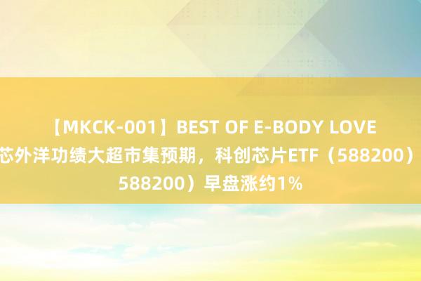 【MKCK-001】BEST OF E-BODY LOVERS 2008 中芯外洋功绩大超市集预期，科创芯片ETF（588200）早盘涨约1%