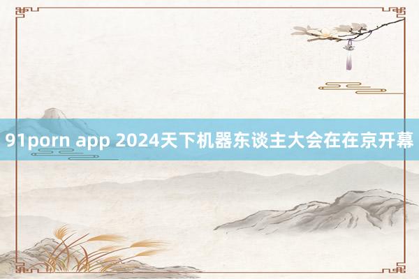 91porn app 2024天下机器东谈主大会在在京开幕