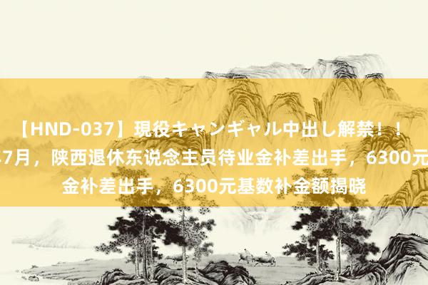 【HND-037】現役キャンギャル中出し解禁！！ ASUKA 2024年7月，陕西退休东说念主员待业金补差出手，6300元基数补金额揭晓