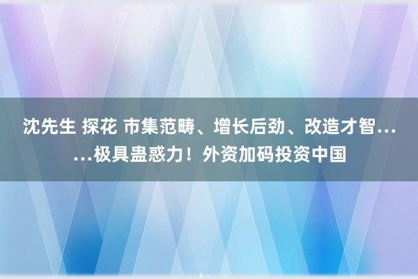 沈先生 探花 市集范畴、增长后劲、改造才智……极具蛊惑力！外资加码投资中国