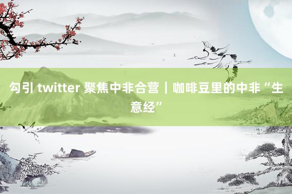 勾引 twitter 聚焦中非合营｜咖啡豆里的中非“生意经”