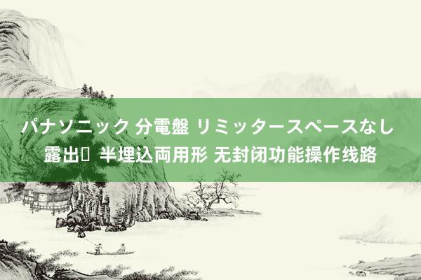 パナソニック 分電盤 リミッタースペースなし 露出・半埋込両用形 无封闭功能操作线路