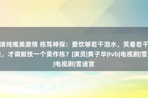 清纯唯美激情 栋笃神探：要饮够若干泪水，笑看若干风浪，才调献技一个莫作栋？|演员|黄子华|tvb|电视剧|雪迷宫